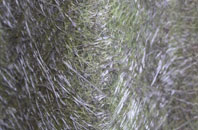 Carol Green fibreglass roof work